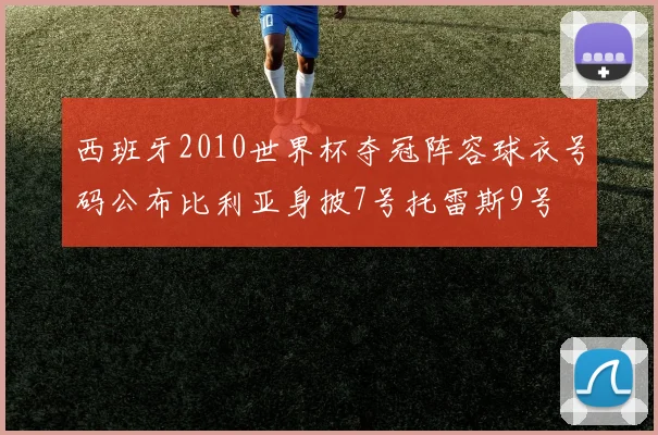 西班牙2010世界杯夺冠阵容球衣号码公布比利亚身披7号托雷斯9号