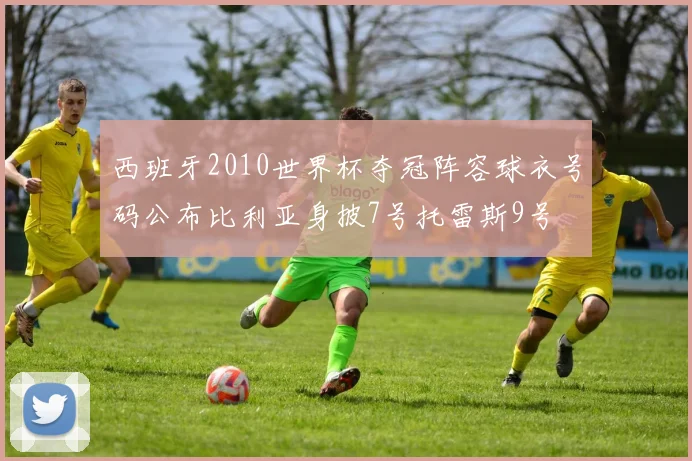 西班牙2010世界杯夺冠阵容球衣号码公布比利亚身披7号托雷斯9号