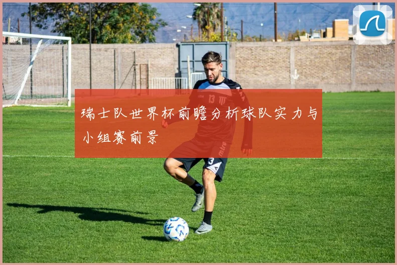 瑞士队世界杯前瞻分析球队实力与小组赛前景