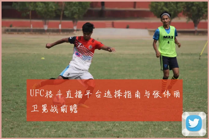 UFC格斗直播平台选择指南与张伟丽卫冕战前瞻