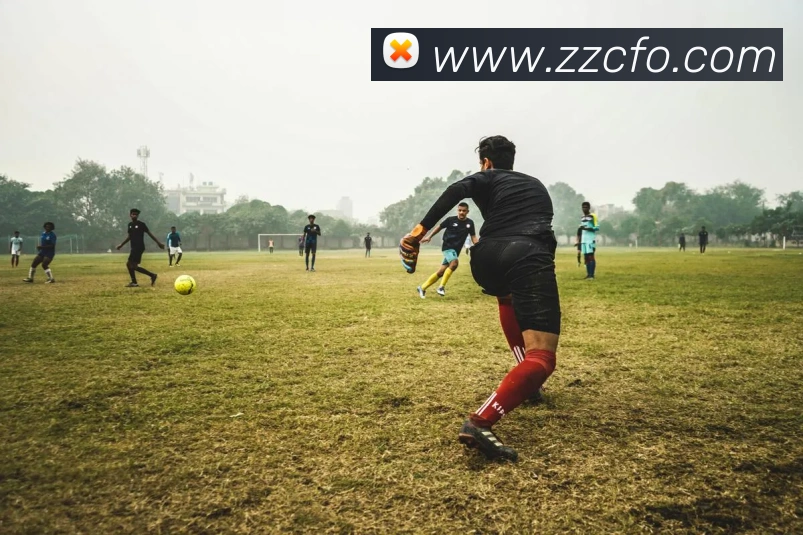 App Interface Preview